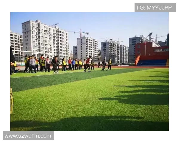 阳谷小球星足球场详细地址及周边设施介绍 阳谷小球星足球场详细地址及周边设施介绍